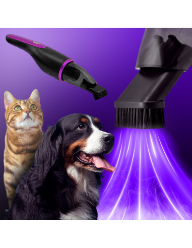 Aspirapolvere Wireless 100W Aspirabriciole Auto...