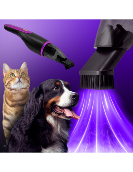 Aspirapolvere Wireless 100W Aspirabriciole Auto Scopa Elettrica con Filtro HEPA