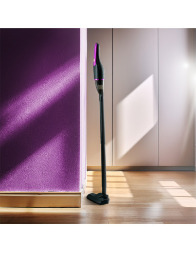 Aspirapolvere Wireless 100W Aspirabriciole Auto...