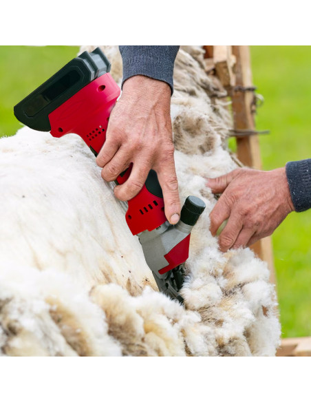 Tosatrice per Pecore Doppia Batteria 48V Ricaricabile Kit Acessori e Valigetta