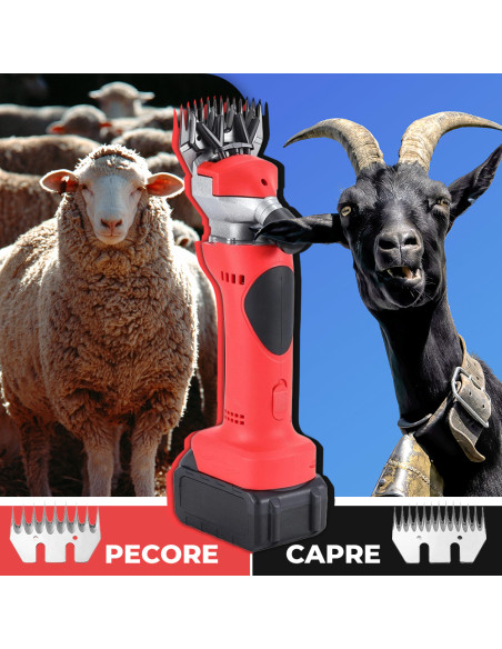 Tosatrice per Pecore Doppia Batteria 48V Ricaricabile Kit Acessori e Valigetta