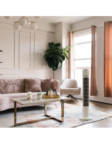 Ventilatore Dictrolux a Torre con Telecomando 3...