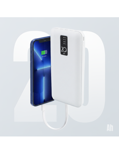 Powerbank 20000mAh Caricabatterie Rapido...