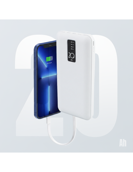 Powerbank 20000mAh Caricabatterie Rapido Portatile con 4 Cavi Inclusi USB