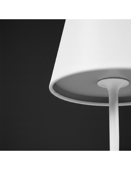 Lampada LED Tavolo 36Hcm Ricaricabile Touch 2W Luce Regolabile 3000K-6000K USB