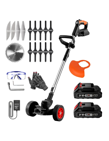 Decespugliatore Cordless 2 Batterie 21V con...