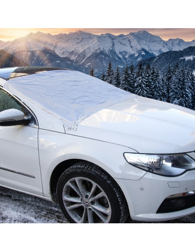 2269 Telo copriparabrezza grigio con laccetti...