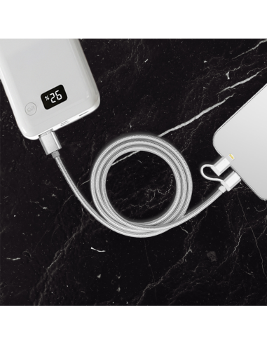 893267 Cavo 2 in 1 micro USB e adattatore...