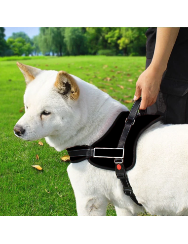 950 Pettorina di addestramento imbottita per...