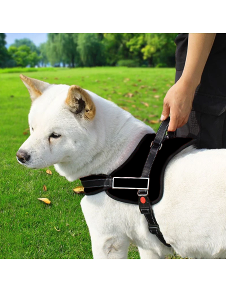 950 Pettorina di addestramento imbottita per cani regolabile sport guinzaglio