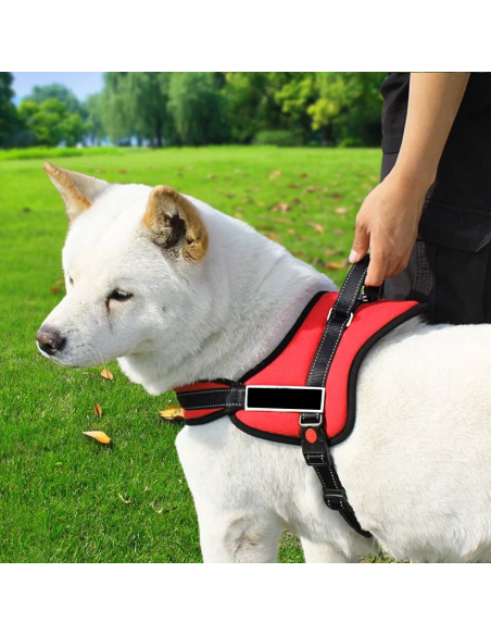 950 Pettorina di addestramento imbottita per cani regolabile sport guinzaglio