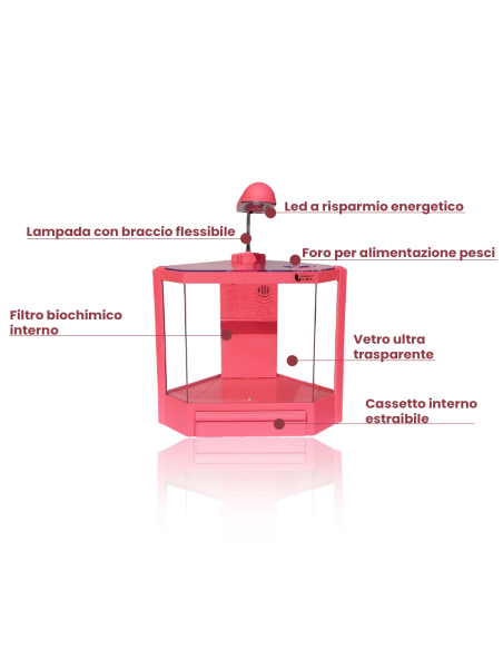 Acquario in plastica 4,5 litri 6 led 2w con filtro 28,5 x 18,6 x 24,5 cm