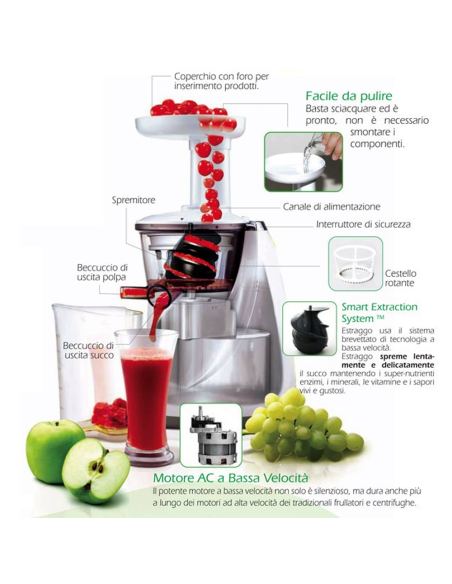 AE2130 Centrifuga a freddo DCG estrattore di succo in 3 colori slow juicer