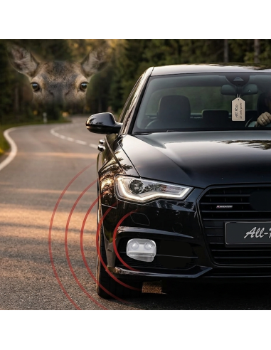 AllRide Allarme per animali 024516 avvisatore...