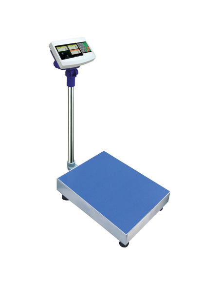 Bilancia bilico digitale elettronica professionale 300 kg