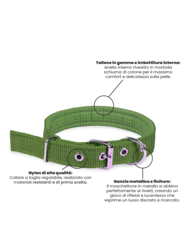 Collare per Cani Phoenix con Fibbia regolabile...