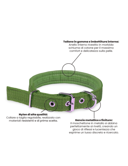 Collare per Cani Phoenix con Fibbia regolabile Razza Piccola in Nylon Regolabile