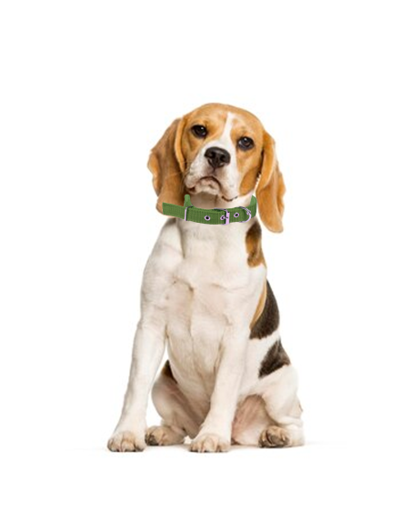 Collare per Cani Phoenix con Fibbia regolabile Razza Piccola in Nylon Regolabile