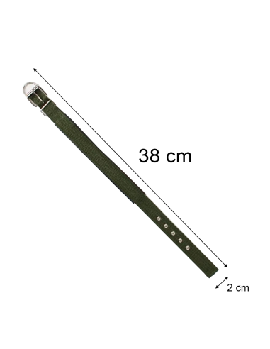 Collare per Cani Phoenix con Fibbia regolabile...