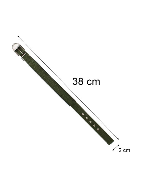 Collare per Cani Phoenix con Fibbia regolabile Razza Piccola in Nylon Regolabile