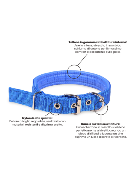 Collare in nylon Phoenix con imbottitura per cani taglia media fibbia regolabile