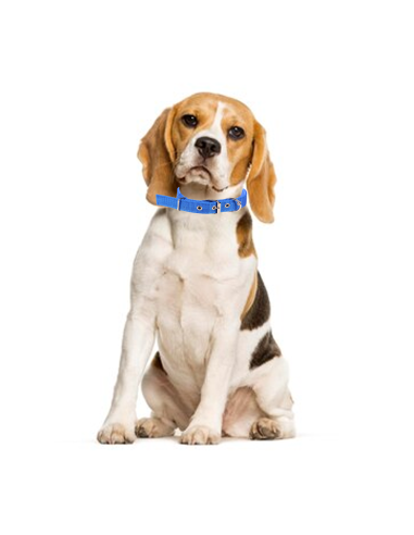 Collare in nylon Phoenix con imbottitura per...