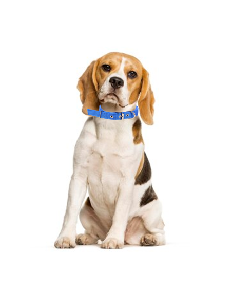 Collare in nylon Phoenix con imbottitura per cani taglia media fibbia regolabile