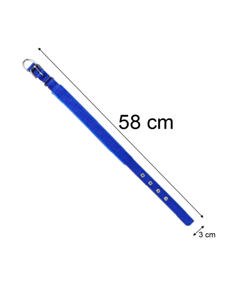 Collare in nylon Phoenix con imbottitura per cani taglia media fibbia regolabile