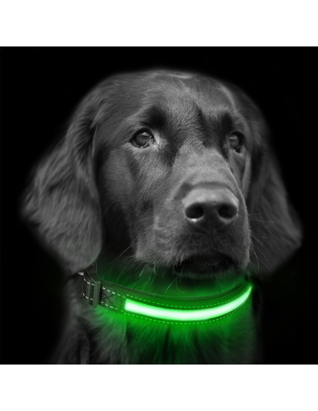 FUBUCA Collare regolabile luminoso a LED per cani ricarica solare e usb 3 taglie
