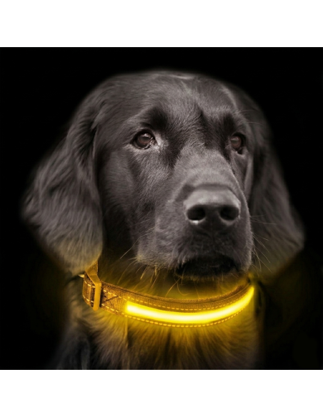 FUBUCA Collare regolabile luminoso a LED per cani ricarica solare e usb 3 taglie