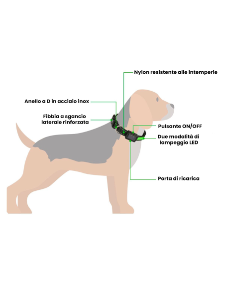 FUBUCA Collare regolabile luminoso a LED per cani ricarica solare e usb 3 taglie