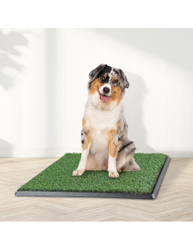 Toilette per Cani Potty Patch 68x43x5 cm -...