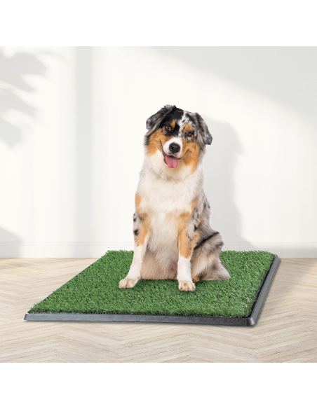 Toilette per Cani Potty Patch 68x43x5 cm - Lettiera Erba 3 Strati