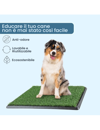 Toilette per Cani Potty Patch 68x43x5 cm -...
