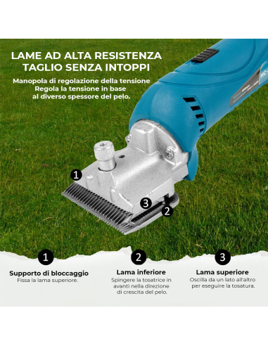 Tosatrice per Cavalli Senza Fili 2500 RPM 18V...