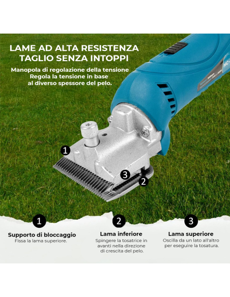 Tosatrice per Cavalli Senza Fili 2500 RPM 18V con 2 Batterie professionale