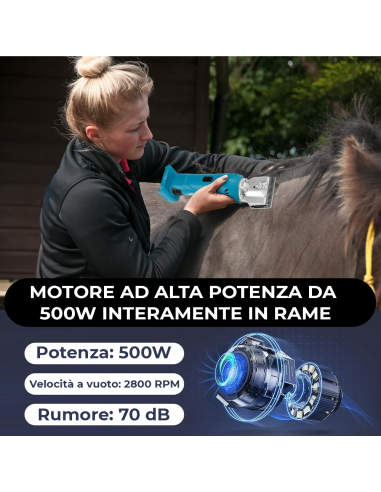 Tosatrice per Cavalli Senza Fili 2500 RPM 18V...