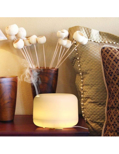 Diffusore Aromi 300 ml Umidificatore...
