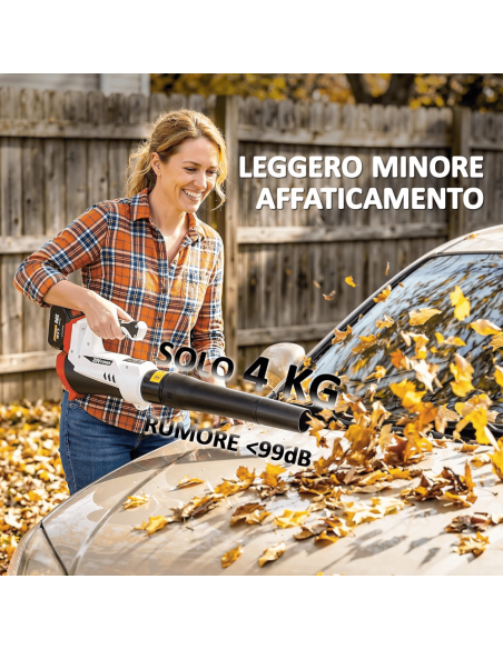 Soffiatore Foglie Batteria 1000W 270 km/h Brushless con 2 Batterie 4.0Ah