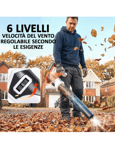 Soffiatore Foglie Batteria 1000W 270 km/h...