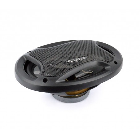 Coppia altoparlanti 6x9cm 1000 w casse auto diffusione