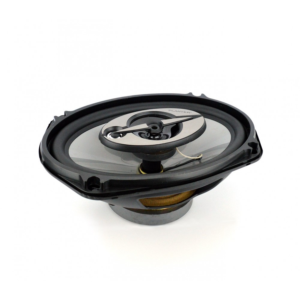 Coppia altoparlanti 6x9cm 1000 w casse auto diffusione