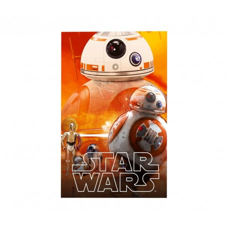 SWE70259 Coperta in morbido e caldo pile  DRONE BB-8 Star Wars 100 x 150 cm 