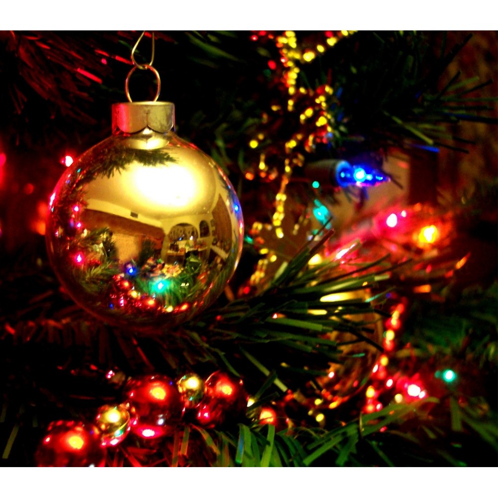 013447 Minilucciole natalizie MULTICOLORE 100 luci 8 giochi di luci cavo verde