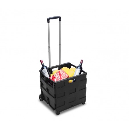 334115 Carrello trolley portaspesa pieghevole in plastica portata max 25 Kg