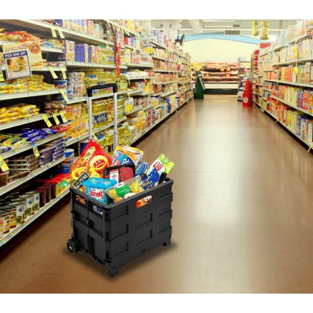 334115 Carrello trolley portaspesa pieghevole in plastica portata max 25 Kg