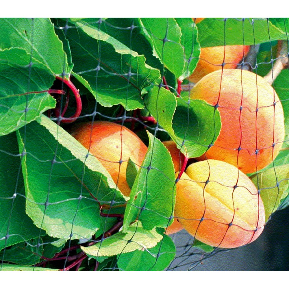 290027 Rete in nylon per perimetrare e creare recinzioni per animali 4 x 6 metri