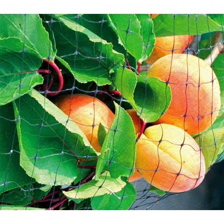 290027 Rete in nylon per perimetrare e creare recinzioni per animali 4 x 6 metri