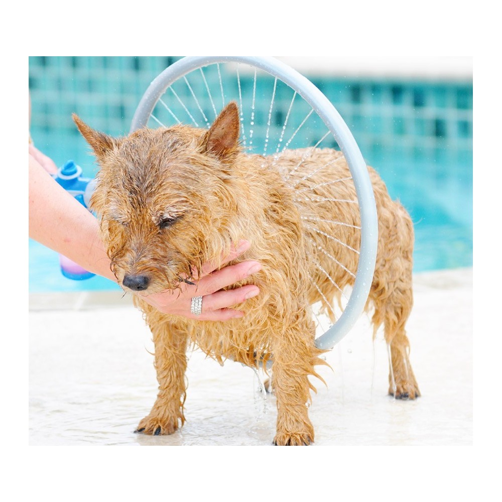776622 Innovativo sistema per lavaggio cani WASH DOG rondella lavaggio 360°  