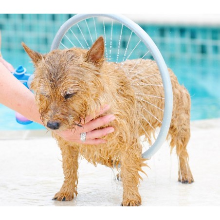 776622 Innovativo sistema per lavaggio cani WASH DOG rondella lavaggio 360°  